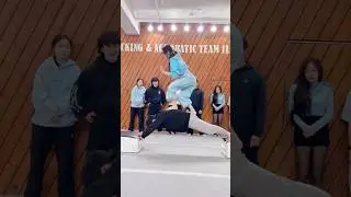 인간다리 챌린지⁉️😱 Human Bridge Challenge