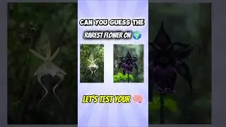 Most Mysterious Flowers on Earth! 🌸✨
