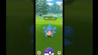 I got finally ✨ shiny Gible I love shiny Pokemon ✨ #shortvideo #viral #pokemongo