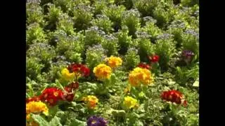 Arts in Parks 2007