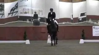 Santo Hit Medium Winter Regional Champion 71.31% 2015