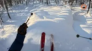 Powder Skiing in Hokkaido - Japan 2023