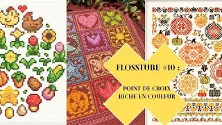 🪡Flosstube #10 : Projets riches en couleur !