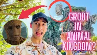 7 Secret Locations in Disney&rsquo;s Animal Kingdom | Disney World Vlog