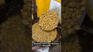 Bangalore&rsquo;s Famous Palak Manchurian Making😱😋|| Indian Street Food