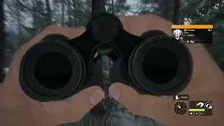 2026 01 12 Hunted the evening!