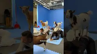 GOAT Cast Does Goat Yoga | Exclusive