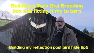 Building a reflection pool (Building a Barn Owl Box) Ep 5