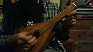 flattop fretless 4 string mandolin