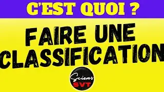 CLASSFICATION DES ANIMAUX - SVT 6ème