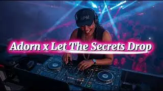Adorn x Let The Secrets Drop - “The R&D Zone (Rhythm & Dance)” EDM Mashup
