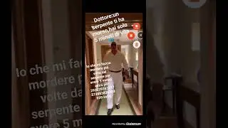 #serpente
