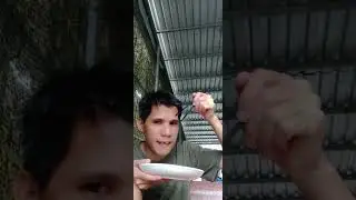 Ăn cơm trứng gà ốp la nước mắm món ăn channel miền Tây
