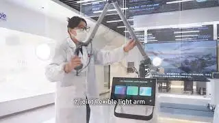 Multi-functional fractional CO2 laser beauty device for scar and wrinkle removal