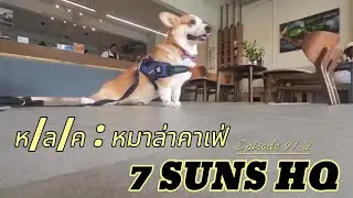 ห/ล/ค  หมาล่าคาเฟ่  ที่ 7SUNS HQ  EP-91-2  by ถังถัง อภิาตหมา   ย่าน สุขุมวิท71-คลองตัน