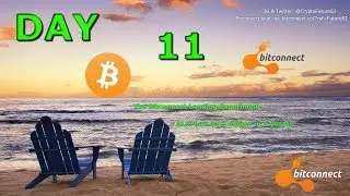Bitconnect Lending Experiment
