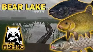 Russian Fishing 4 - Bear Lake - Tench & Black/Grass Carp Spot