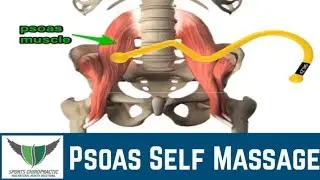 Psoas Self Massage | SKLZ AccuStick