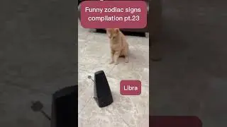 Funny zodiac signs compilation pt. 23 #astrology #memes #humor #zodiac #astrologic #funnymemes