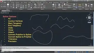 AutoCAD Spline Command Tutorial Complete | Fit, Control Points, Convert to Polyline, Precision