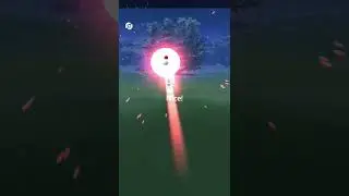 Pokemon Go - Shiny Blitzle wearing a fashionable costume 色違 戴著髮飾的 斑斑馬 寶可夢