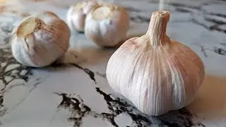 Don&rsquo;t Toss That Garlic! How to Store Garlic All Year Without It Sprouting or Drying Out!