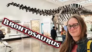 Yale Peabody Museum - We Found The World's Oldest Cookbook & A Brontosaurus!!!