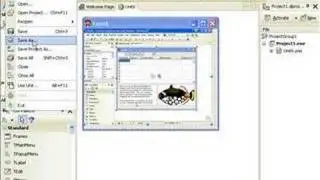 Delphi Programming Tutorial #28 - Using Adobe Flash Animations within Delphi