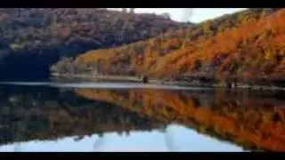 BOVAN