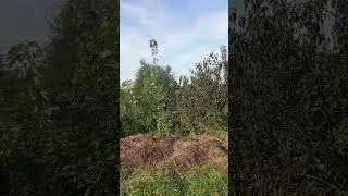 Б704Прогулянка181А Walk #nature #107 #agro #animals #humour #love #rain #funny #motivation