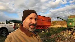 Loading the new grain trailer for a trip to market