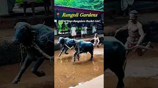 Modern Heritage site of Karnataka for Kids & Families #shorts #karnataka #placestovisit #bangalore