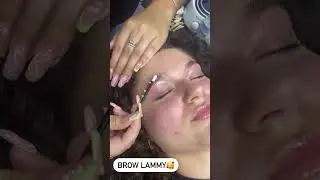 Brow Lamination: Achieve Perfect, Full Brows!