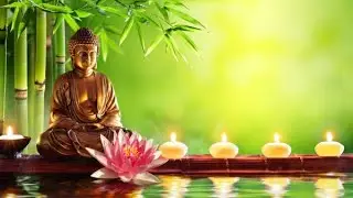 Serenity Soundscape: 90 Minutes of Relaxing Meditation Music @CalmVibesOnly-r8r