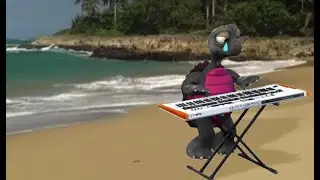 Turtle Plays Sad Music in Royalty Free green screen