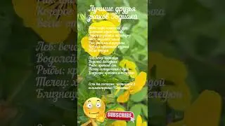 Лучшие друзья знаков Зодиака  / 9196