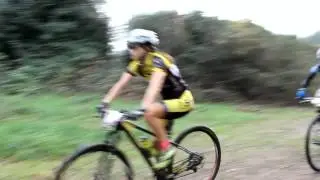 Junqueira BTT-11