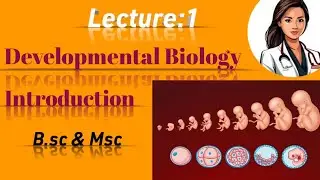Introduction of developmental biology/Basic concept of developmental biology/  Urdu/Hindi/B.sc /Msc