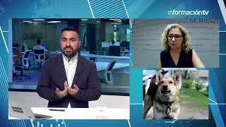 Labor veterinario en la salud humana ¿Qué son las zoonosis?