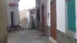 El Chive, Almería