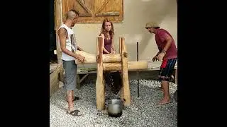 Making Sugarcane Juice By Hand