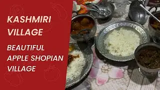 Beautiful apple shopian village 🍏🍎 #explorekashmir #kashmirivlogs kashmirvillagelife #viralinyoutube