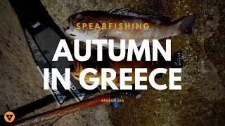 Alchemy Spearfishing | Autumn In Greece