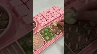 Spring themed enrichment board #asmr #enrichment #feedmycat