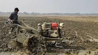 পাওয়ার টিলার দিয়ে ধান চাষের জমি তৈরি  কাদা মাটি ও মই দেওয়ার দৃশ্য 🚜🌾
