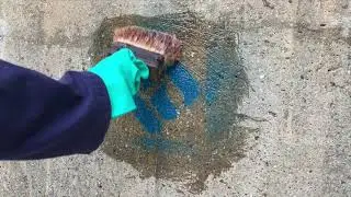 Graffiti Products by Performance Chemicals