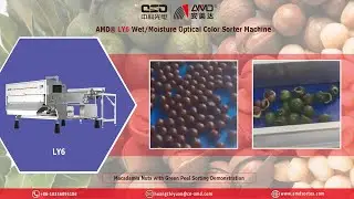 AMD® LY6 Wet/Moisture Optical Color Sorter Machine for Macadamia Nuts with Green Peel Sorting