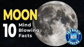 The Moon: 10 Mind-Blowing Facts About Earth&rsquo;s Mysterious Companion