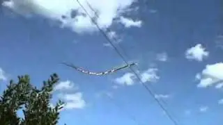 Stick Thrown On Powerlines Causing Electricity Arc. Brilliant