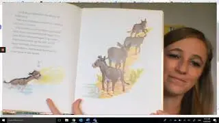 Little Burro Read Aloud